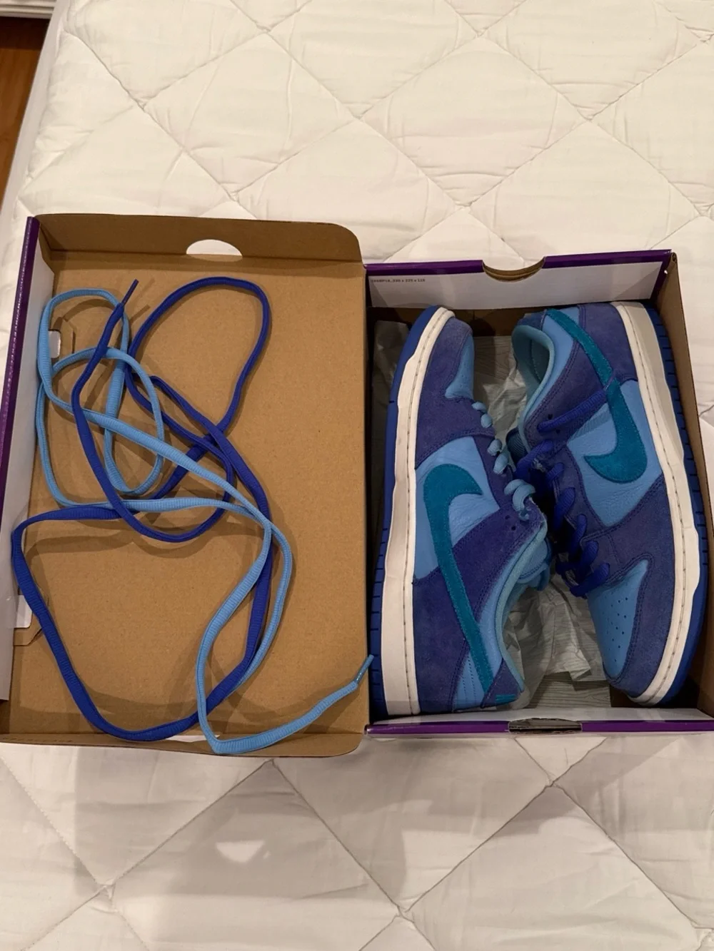 Nike Dunk SB Pro ‘Fruity Pack - Blue Raspberries’